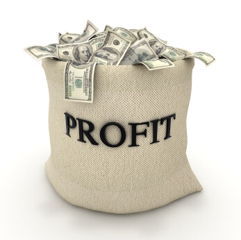 online profits in bags of money
