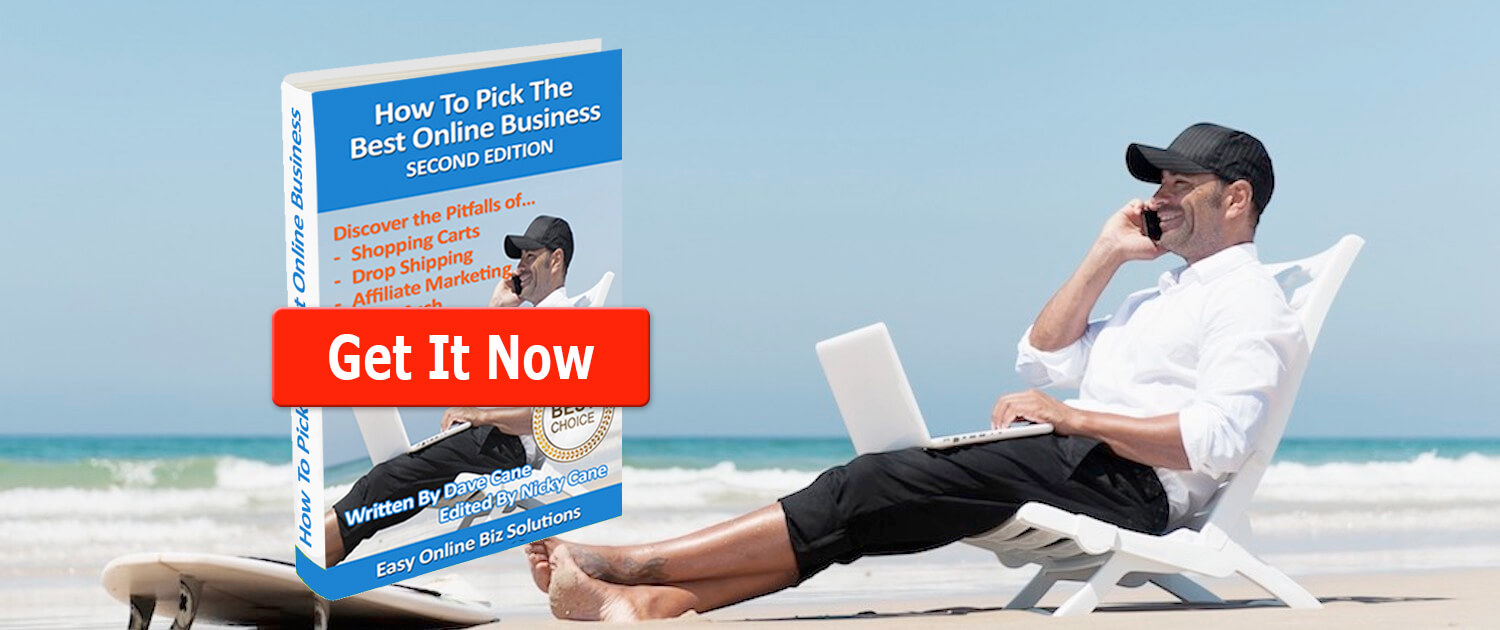 How to Pick the Best Online Business eBook 2nd Edition header slide