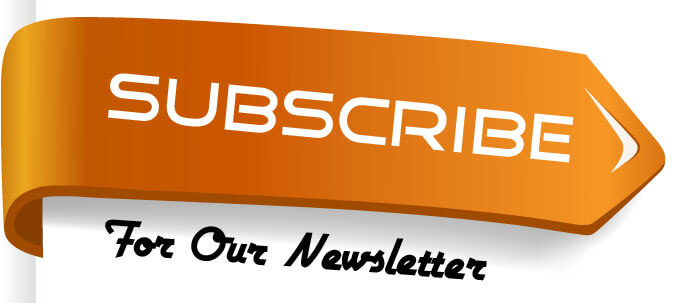 subscribe to the Newsletter for Entrepreneurs button