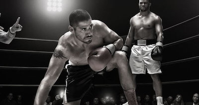 Boxer Getting Back up