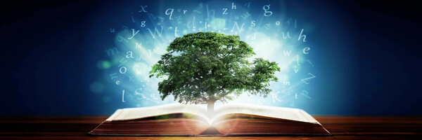 Easy Online Biz Solutions on wisdom and education