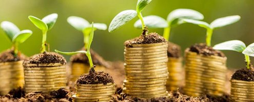 Growing Money - Multiple Income Streams