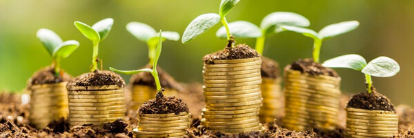 Growing Money - Multiple Income Streams Growing Money - Multiple Income Streams